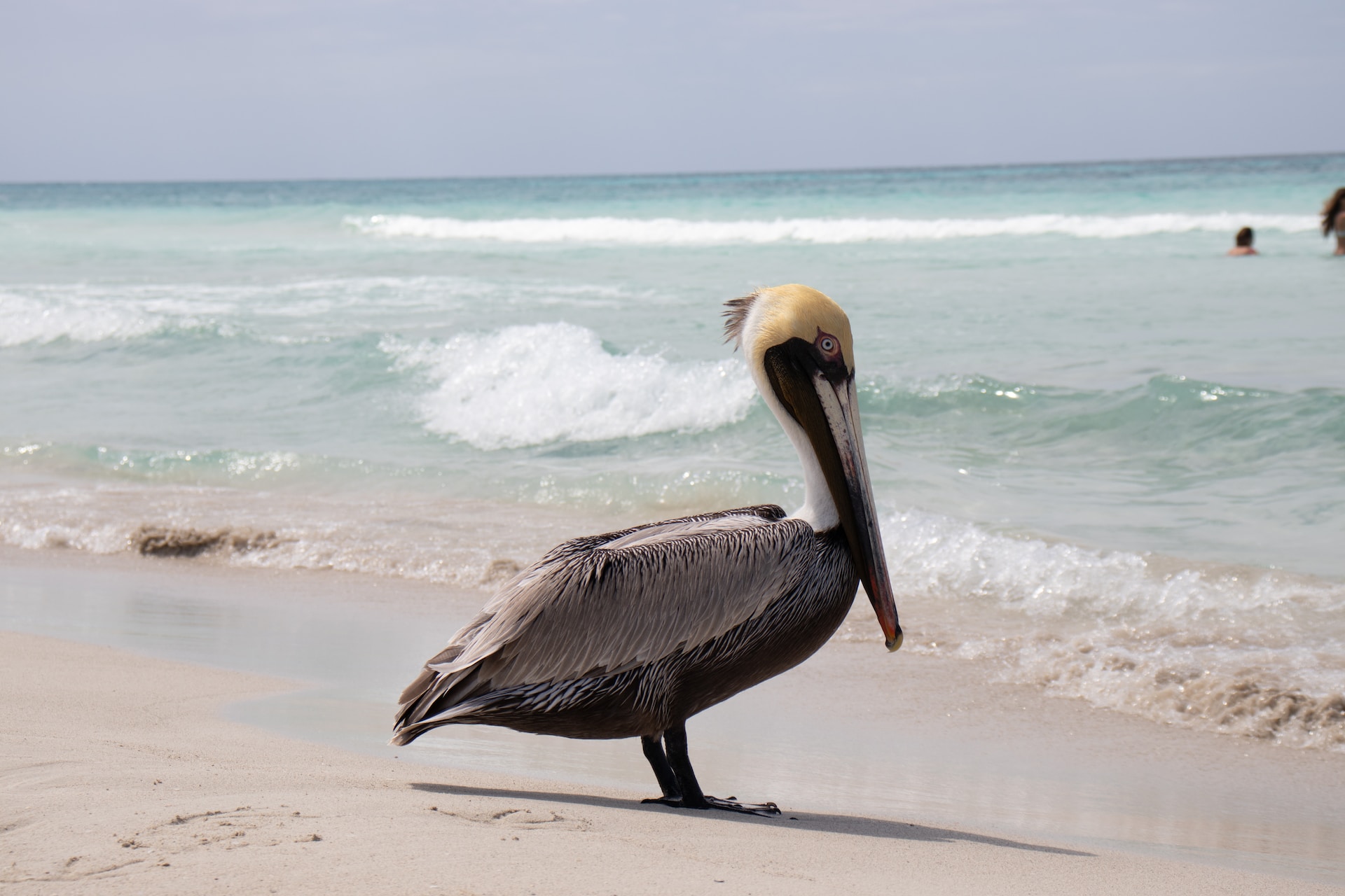 Varadero Beach