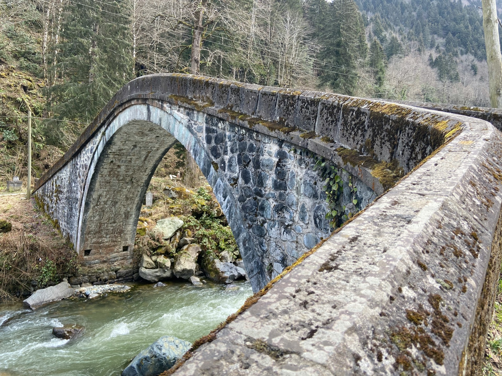 Artvin köprü