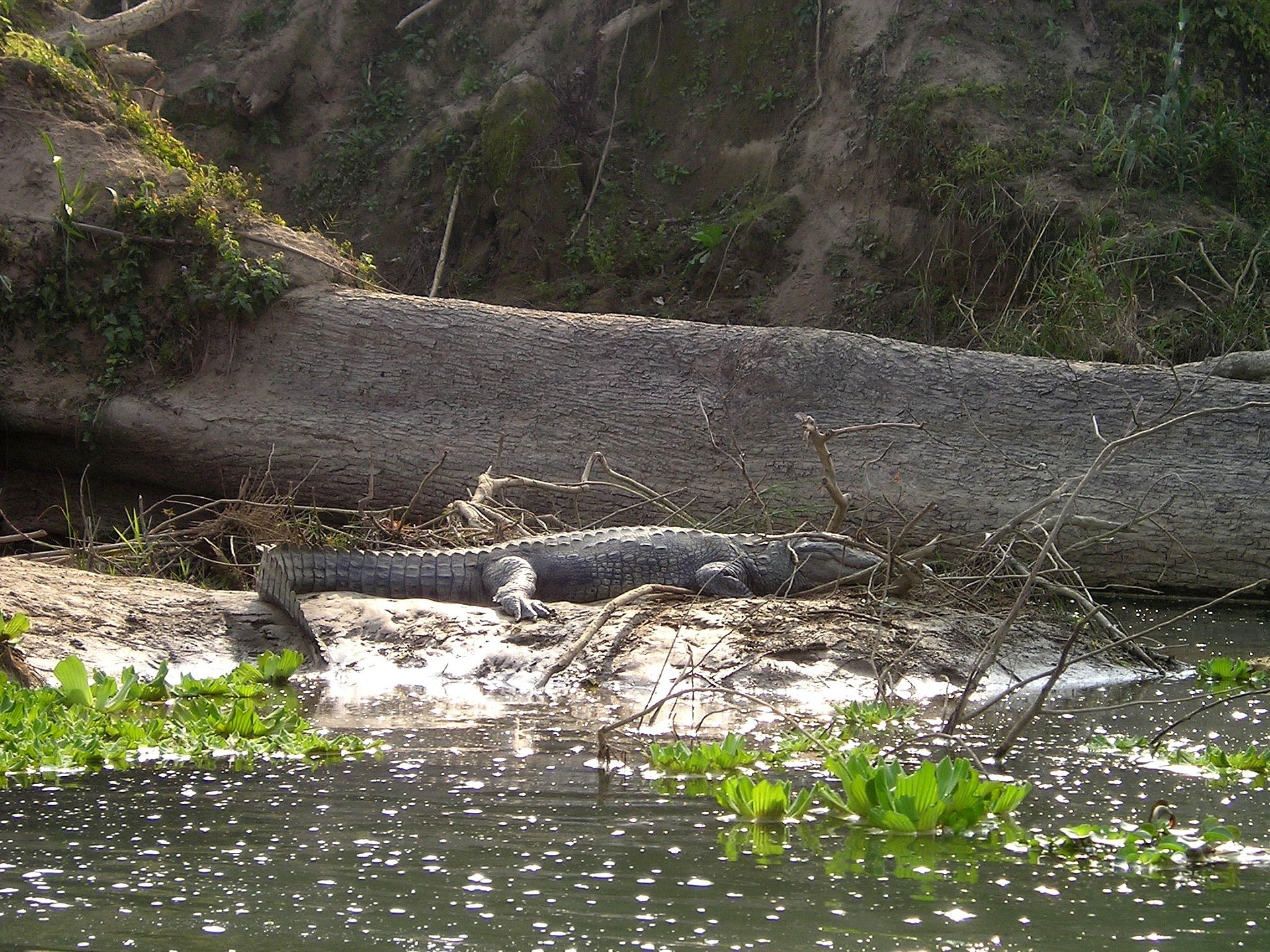 Nepal Turlar-2