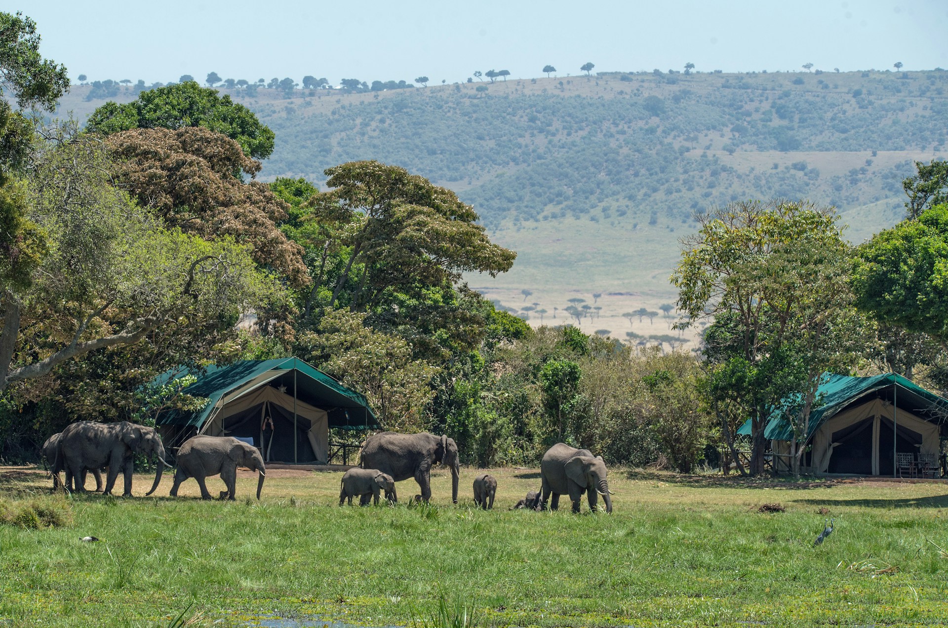 Masai Mara-5