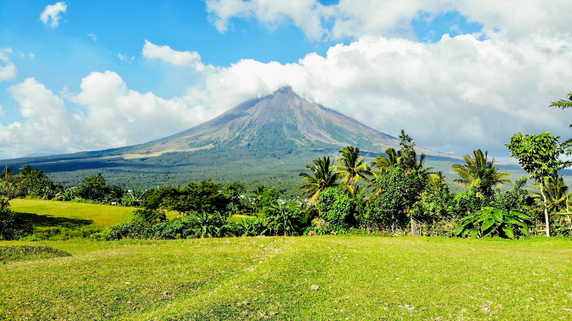 Mayon Dağı