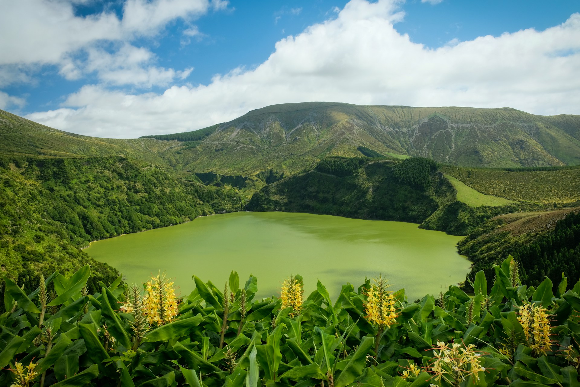 Azores Islands-4