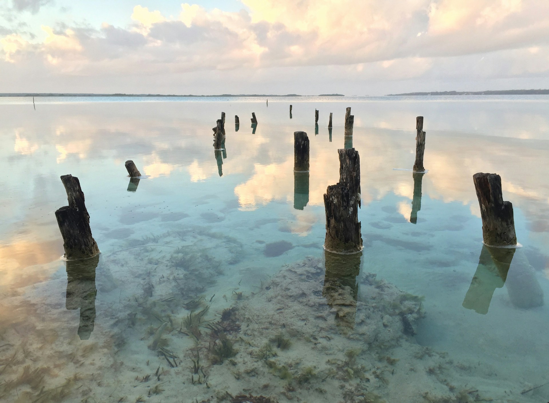 Bacalar