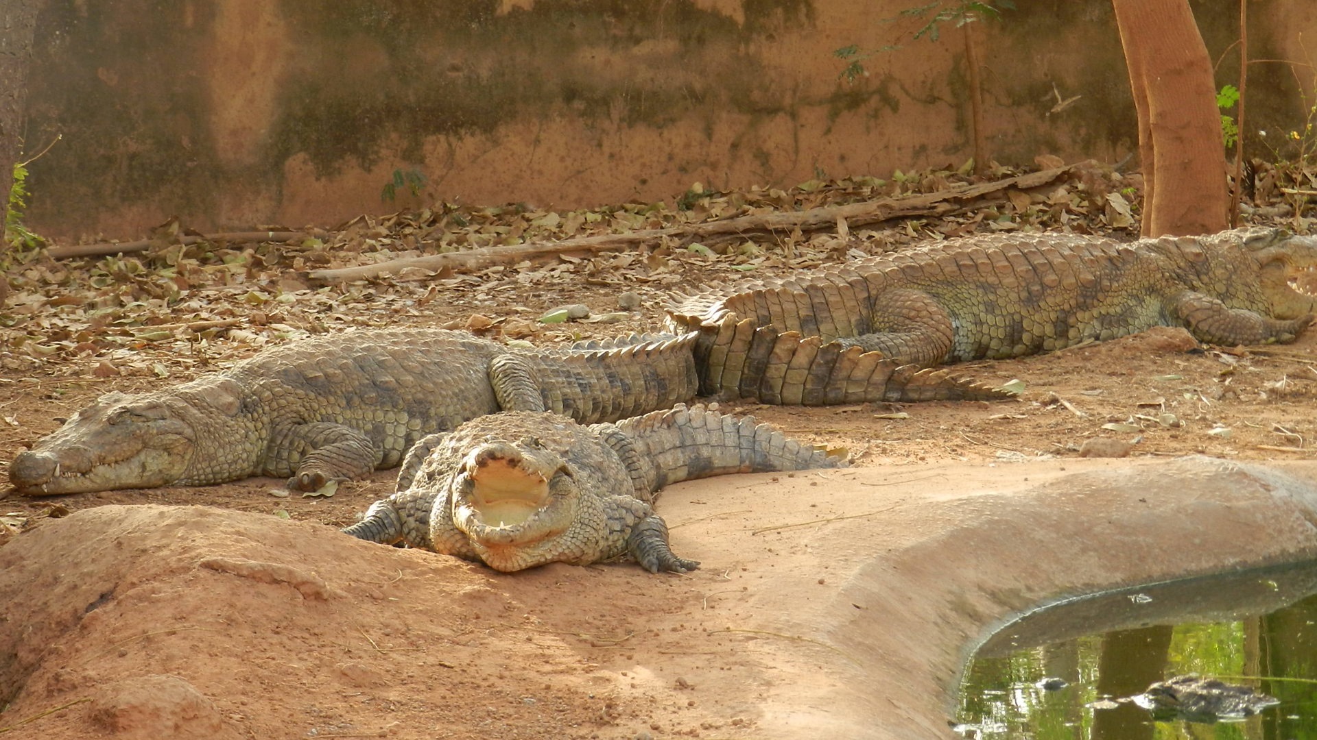 Burkina Faso-6