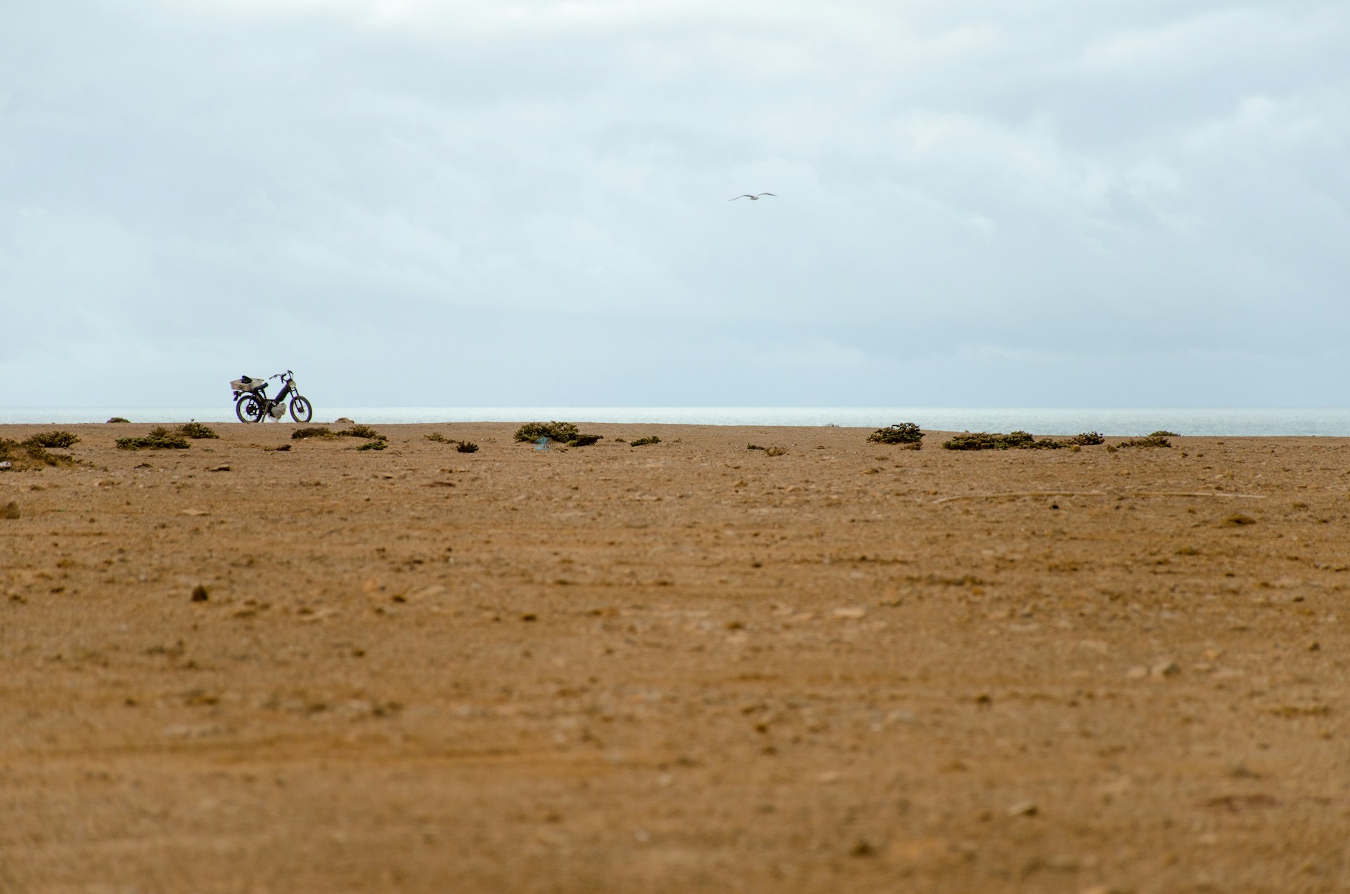 Western Sahara