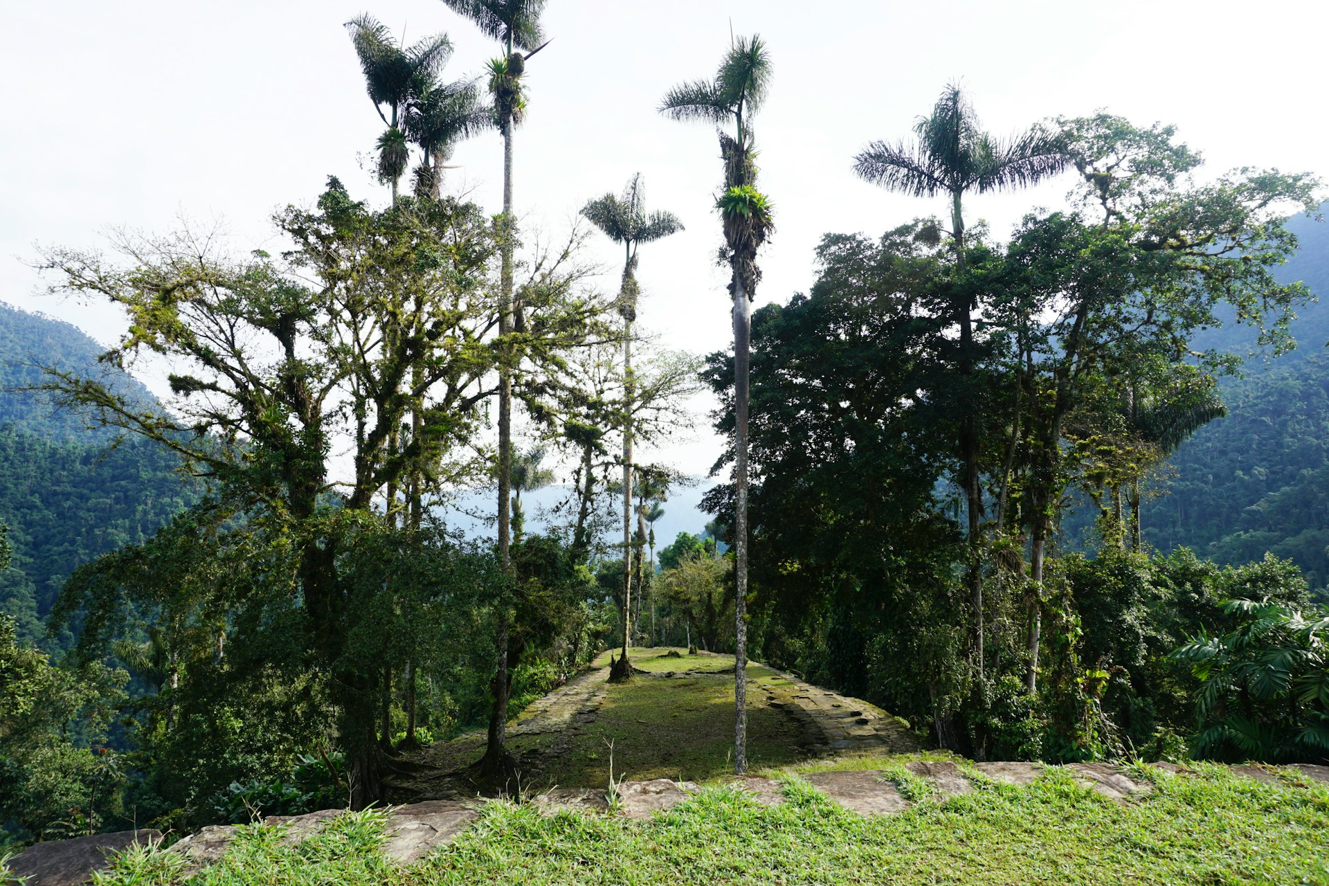 Ciudad Perdida