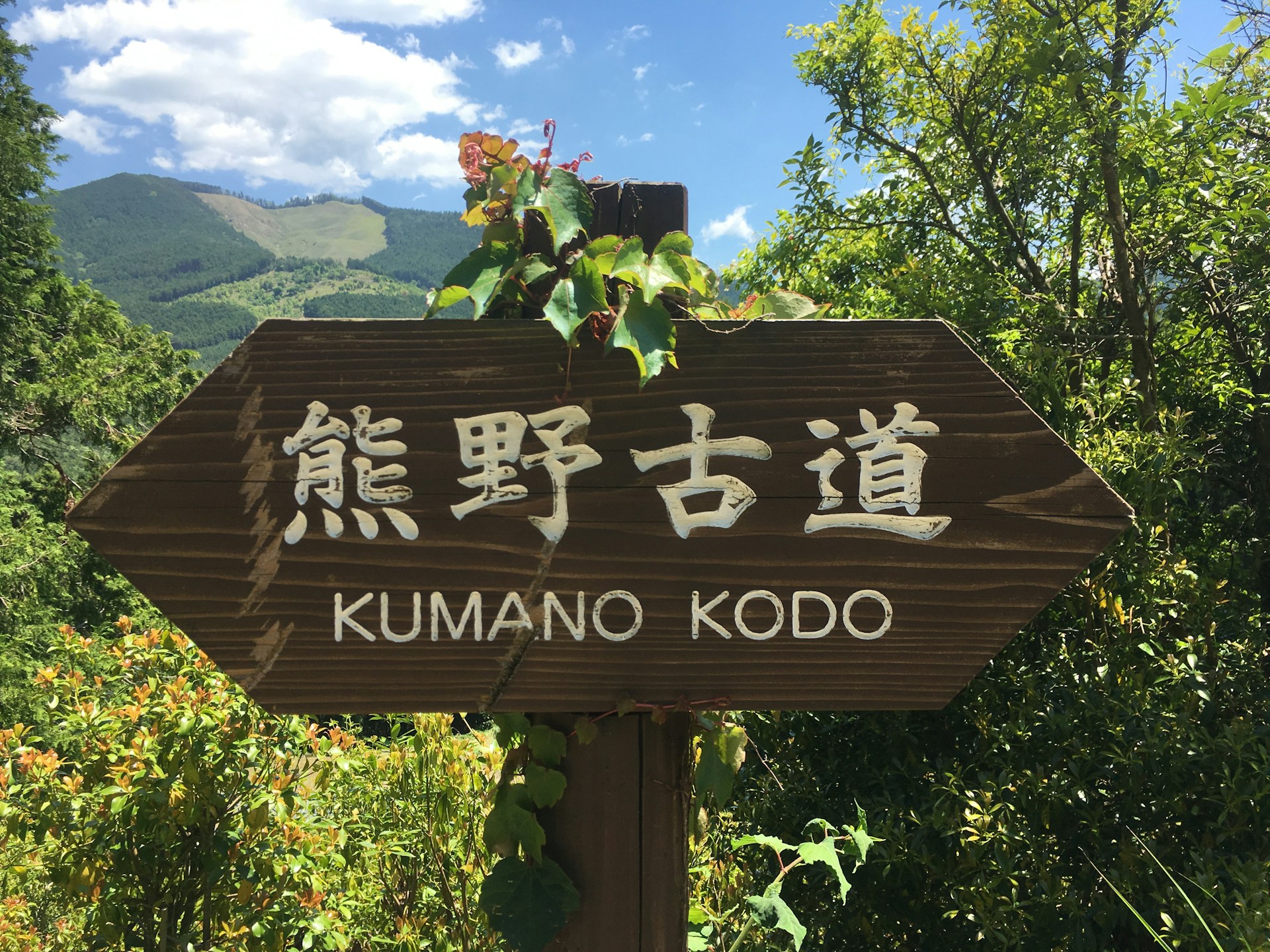 Kumano Kodo-1