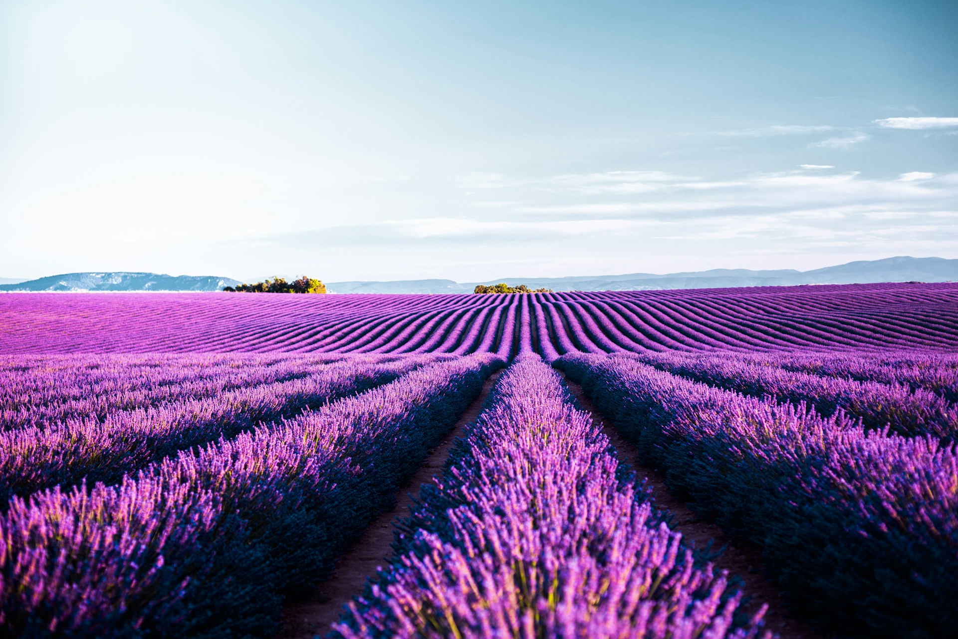 Provence-Fransa