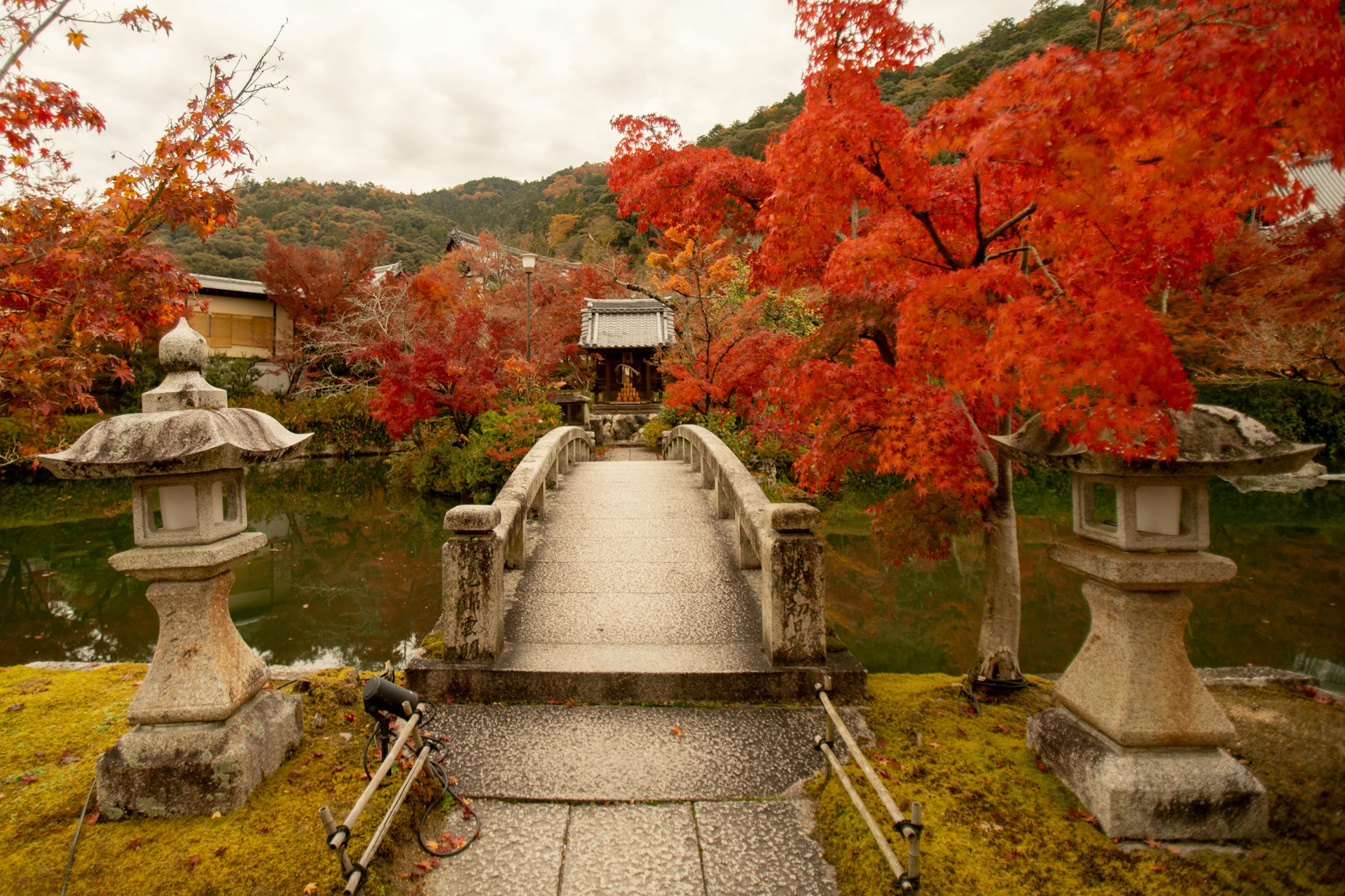 Sonbahar şehirleri-Kyoto