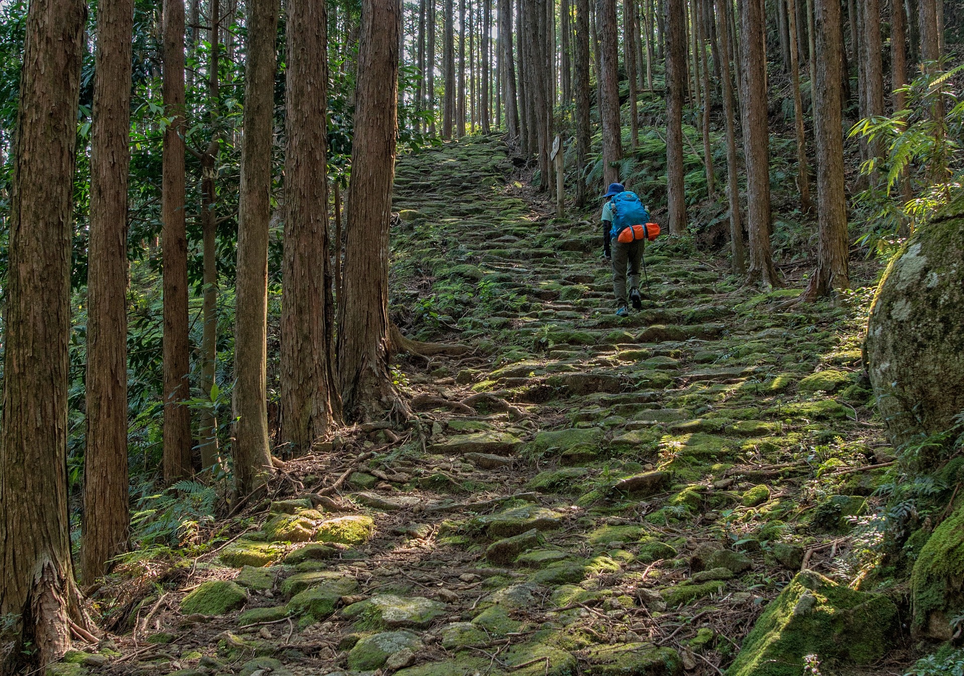 kumano kodo-3.jpg