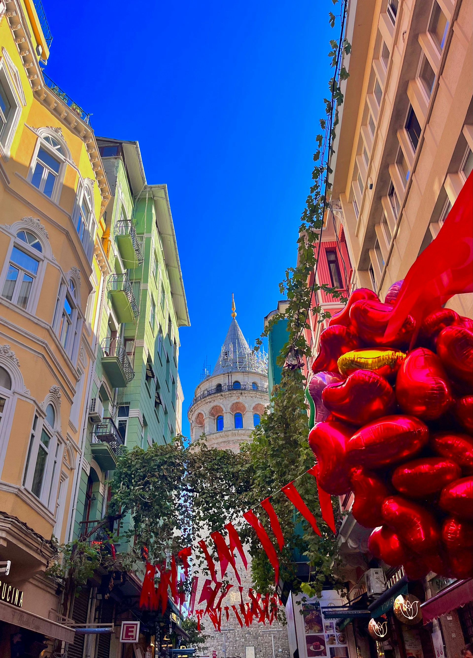 İstanbul'da Yeni Yıl Alışverişi-3