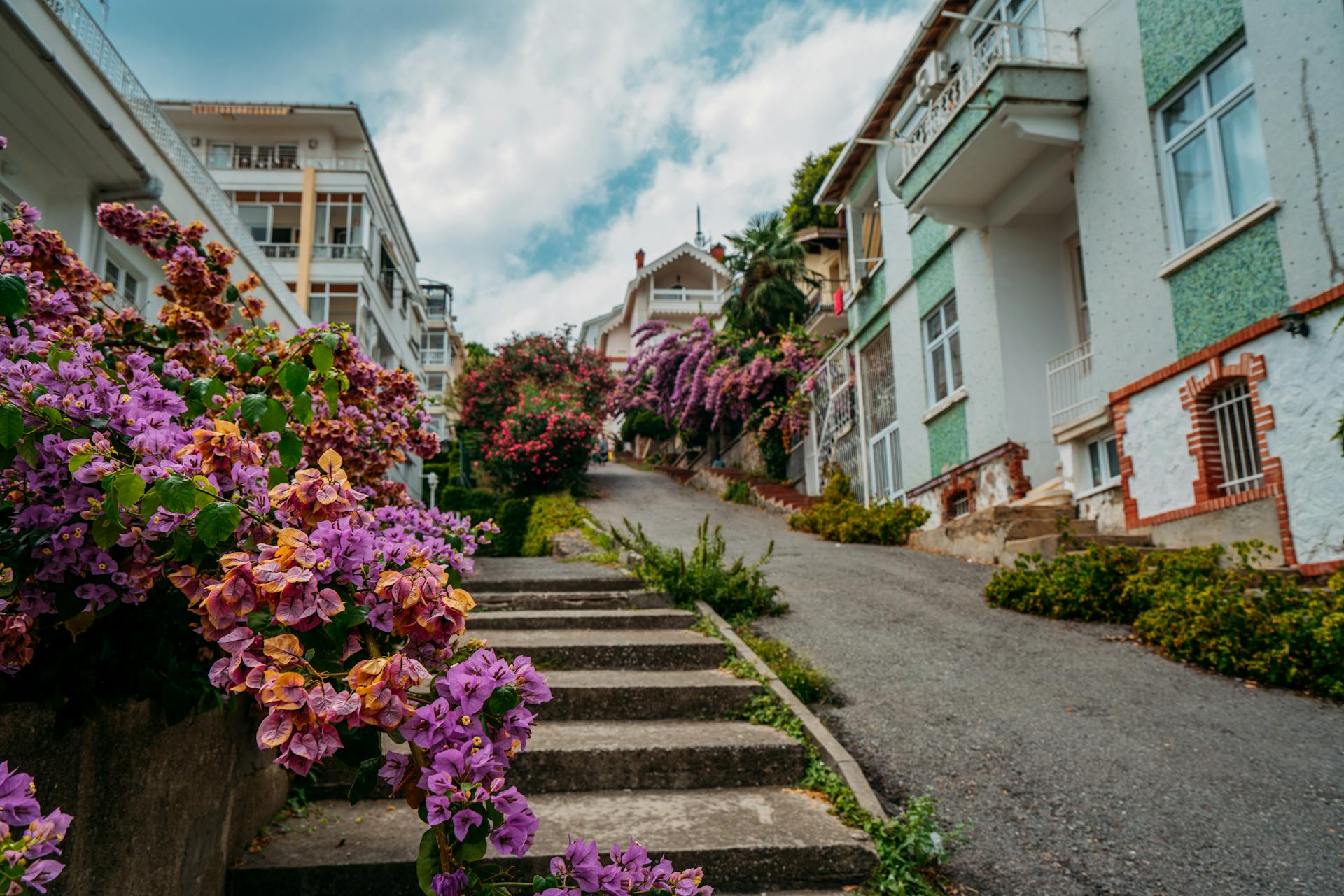 Büyükada-1