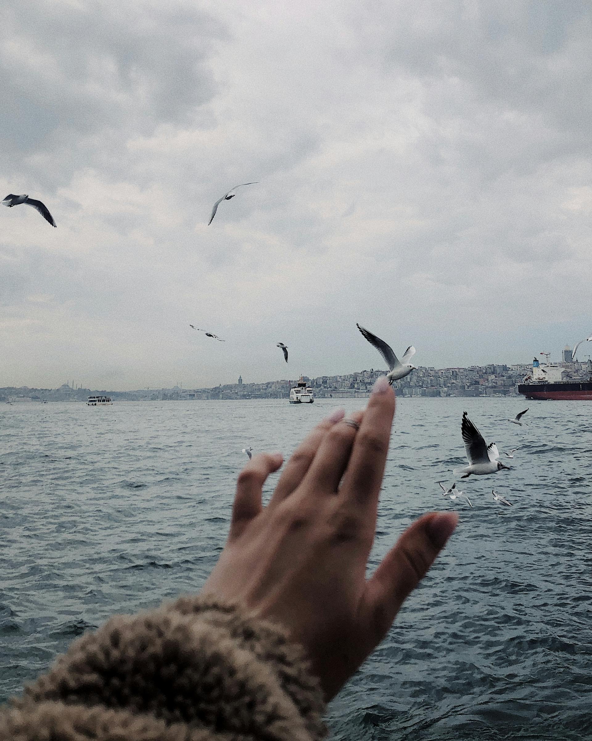 Üsküdar Reels