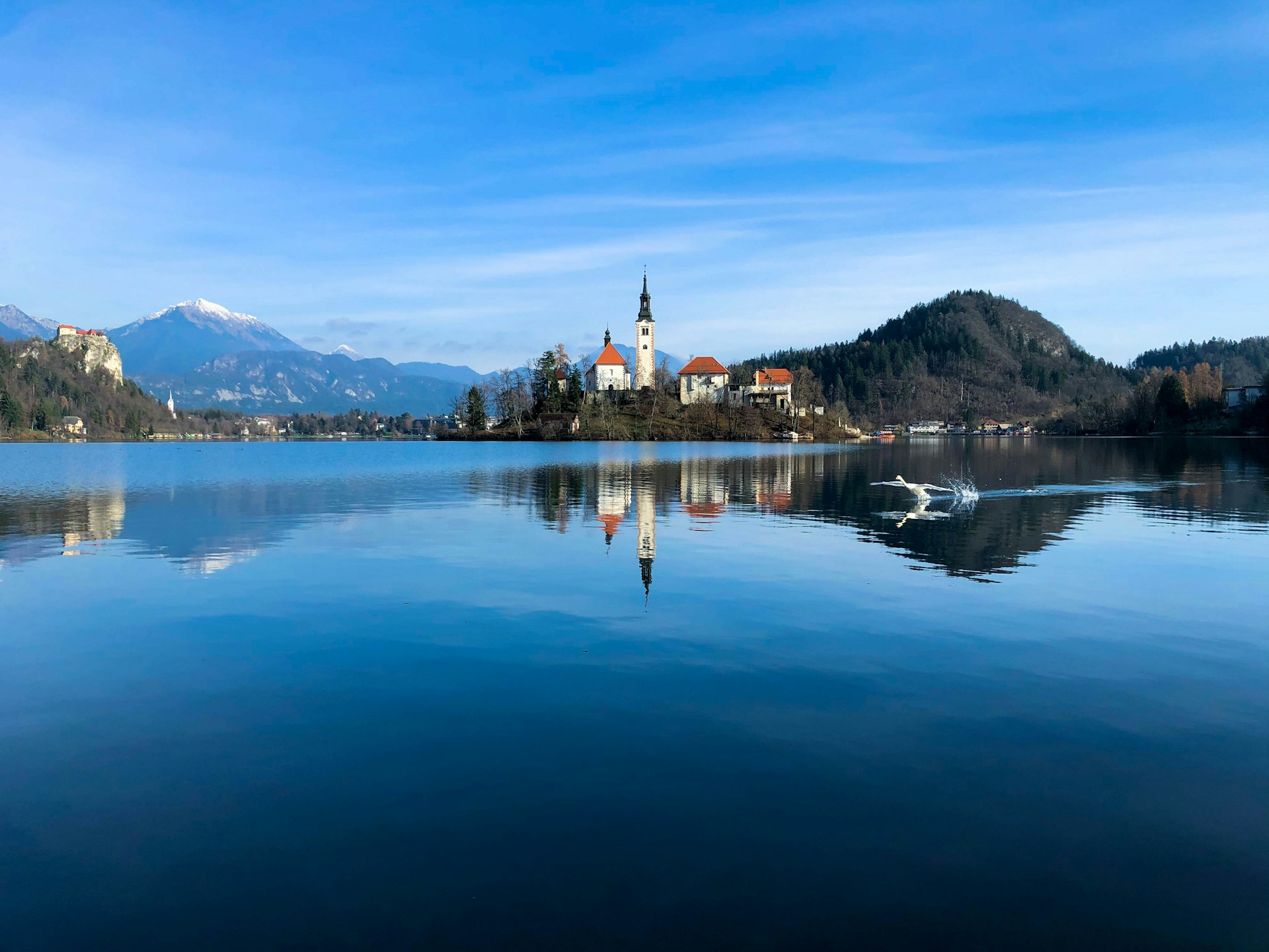 Bled