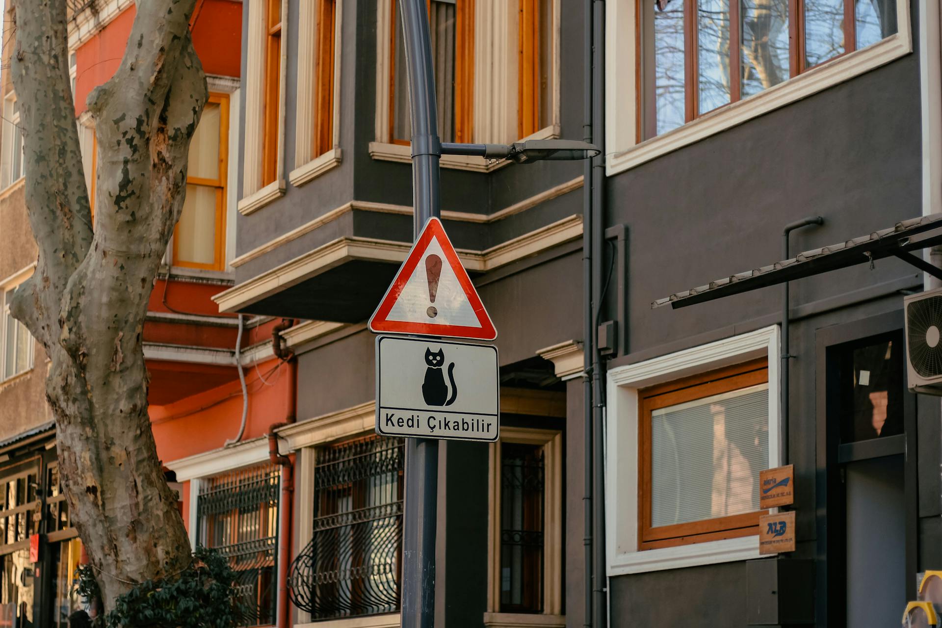 Kuzguncuk Reels