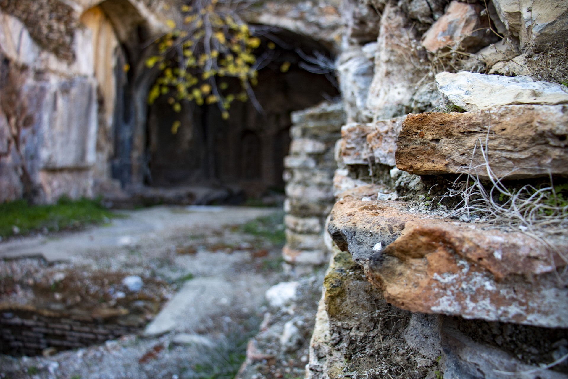 Efes Antik Kenti (4).jpg