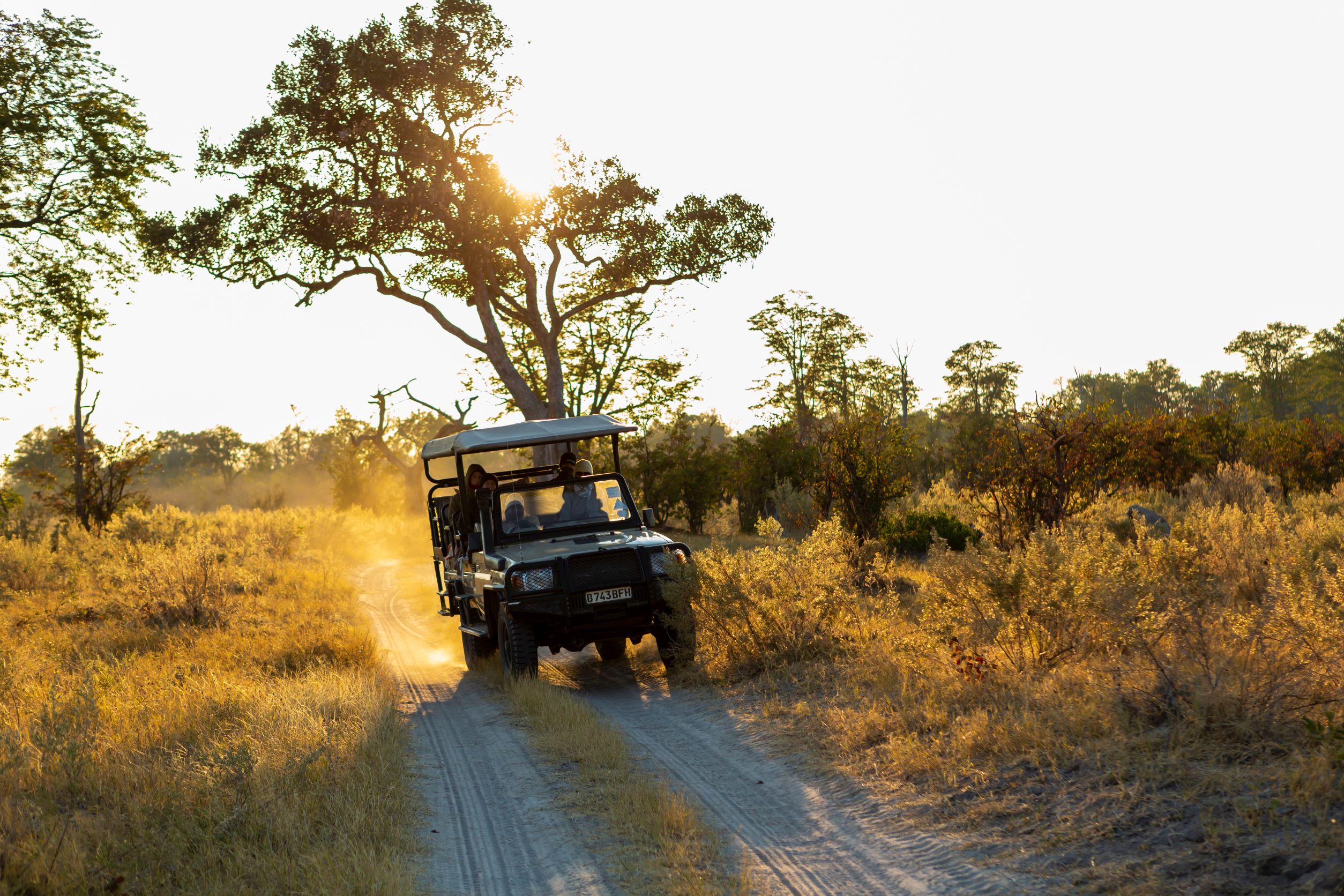 Jeep Safari (3).jpg