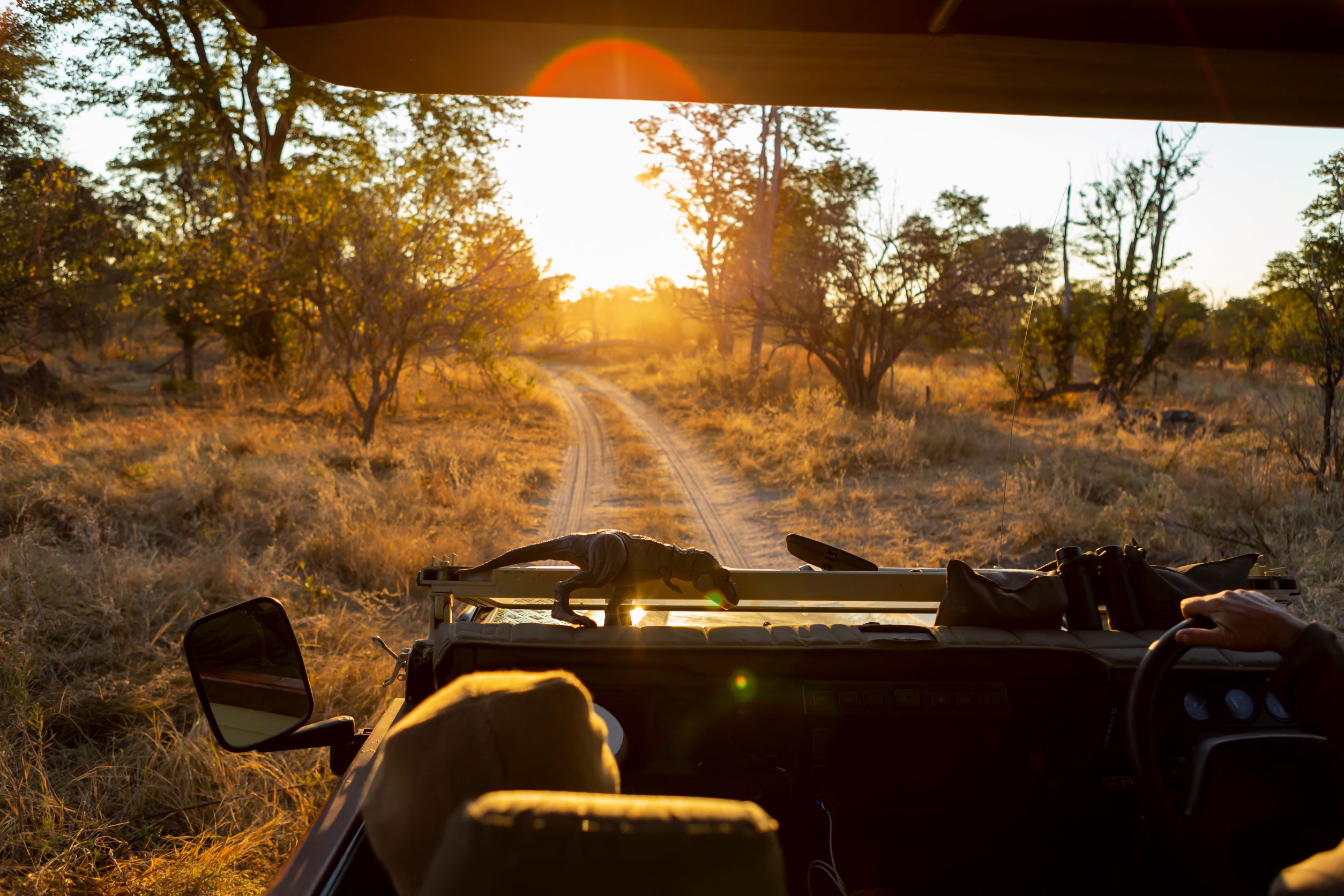 Jeep Safari (5).jpg