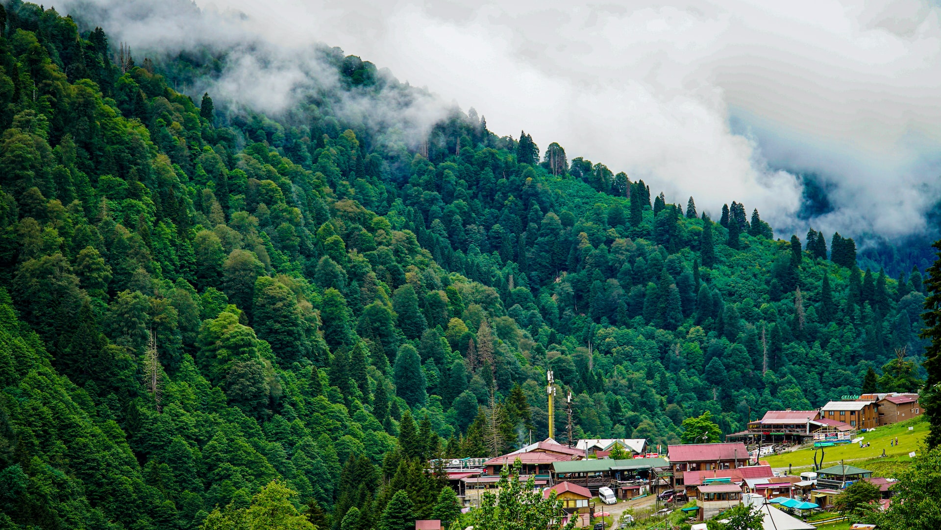 Kış-Ayder