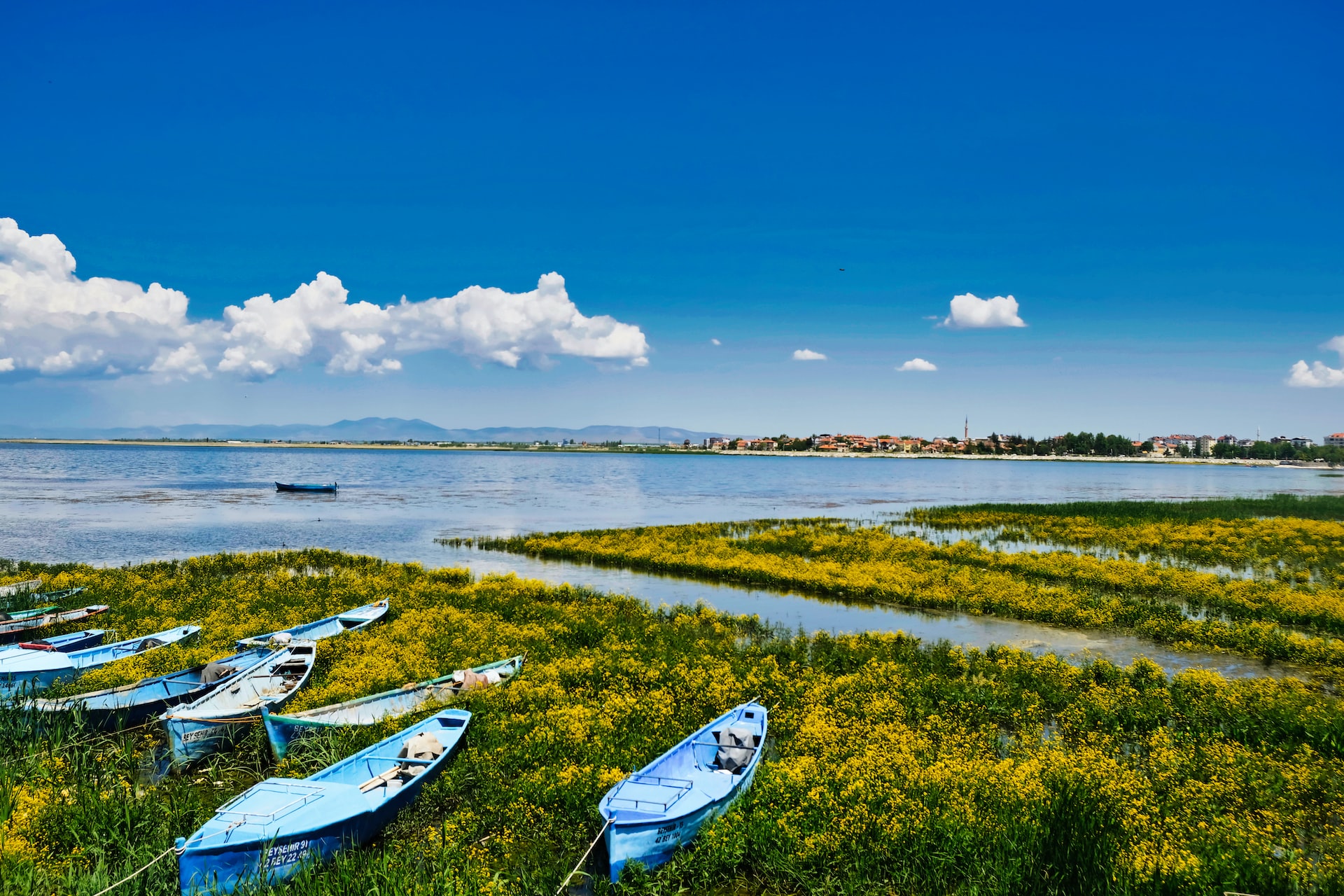 Milli Park-Beyşehir