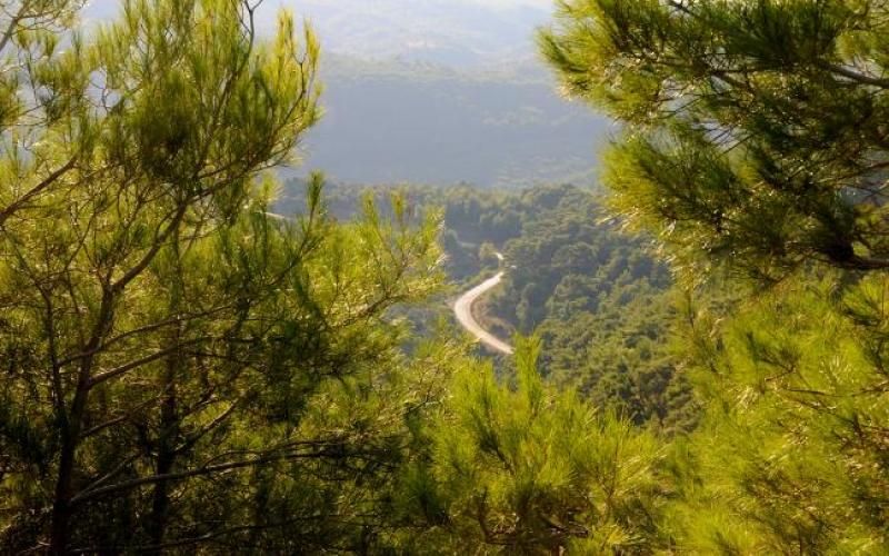 image-kazda9FlarB1-yolu