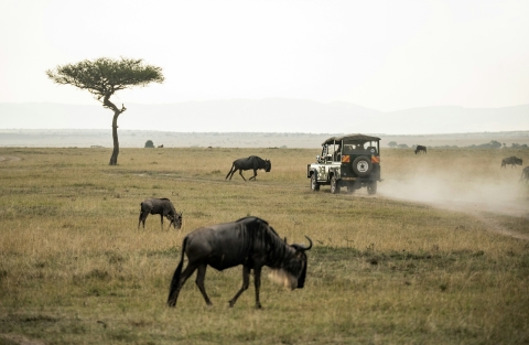 Masai Mara-4